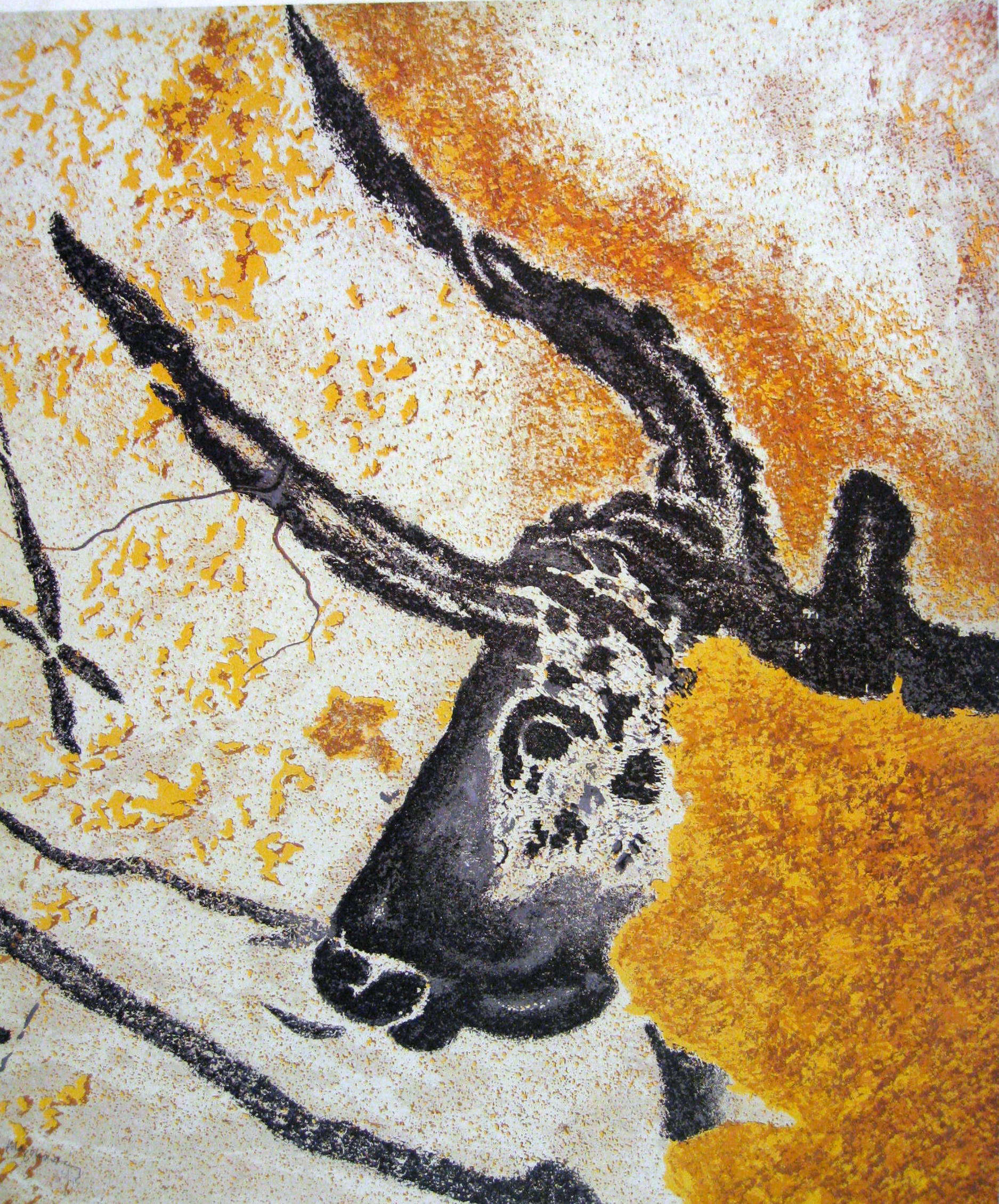 Grotschildering van een stierenhoofd (Lascaux, 17.300 jaar geleden)  